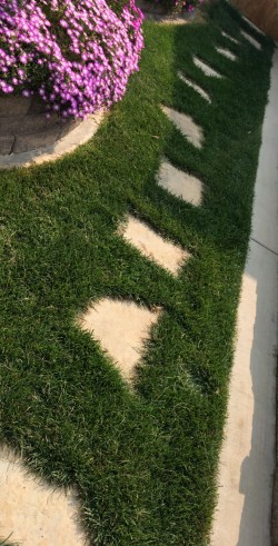 Stone Walk Way