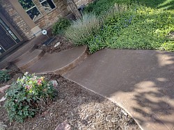 Sidewalk Stain & Seal